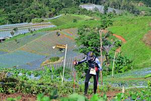 BIB: 
                            <button type="button" onclick="openModal(13379322)" class="btn btn-primary btn-sm float-right btn-popup" data-toggle="modal" data-target=".modal-high-quality">
                        <i class="fas fa-shopping-cart"></i> Add to Cart
                    </button>
                                            <button type="button" onclick="isThisMe(13379322, true)" class="btn btn-success btn-sm float-right btn-popup btn-isme hidden" data-toggle="tooltip" data-placement="bottom" title="นี่คือรูปของคุณใช่ไหม คลิกที่นี่เพื่อเอาเข้าอัลบั้ม">
                        <i class="fas fa-plus"></i> Add to album
                    </button>
                    <button type="button" onclick="isThisMe(13379322, false)" class="btn btn-warning btn-sm float-right btn-popup btn-isnotme hidden">
                        <i class="fas fa-ban"></i> Remove from album
                    </button>